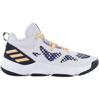 adidas PRO N3XT 2021 - Herren Basketball Schuhe Grau GY3805